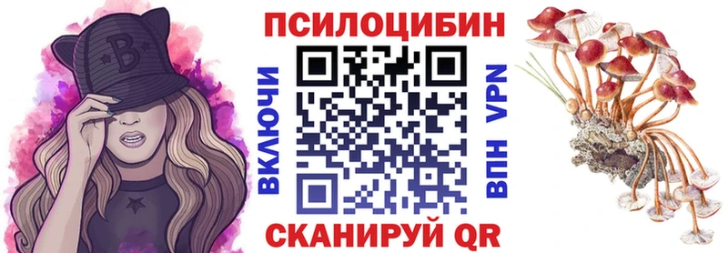 Купить Тарко-Сале Псилоцибиновые грибы Psilocybe